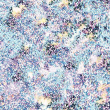 Ashion Digital Printed Silk Chiffon Fabric with Flower Pattern (XF-0049)